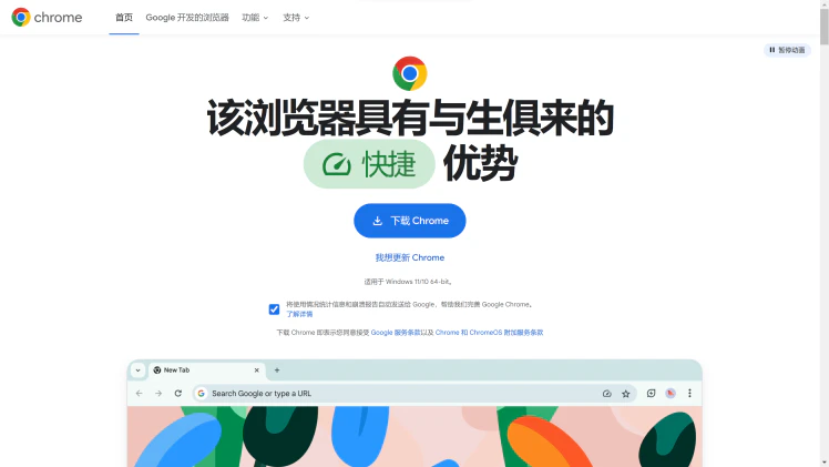 谷歌 Chrome浏览器中英文下载站！（离线安装包）！