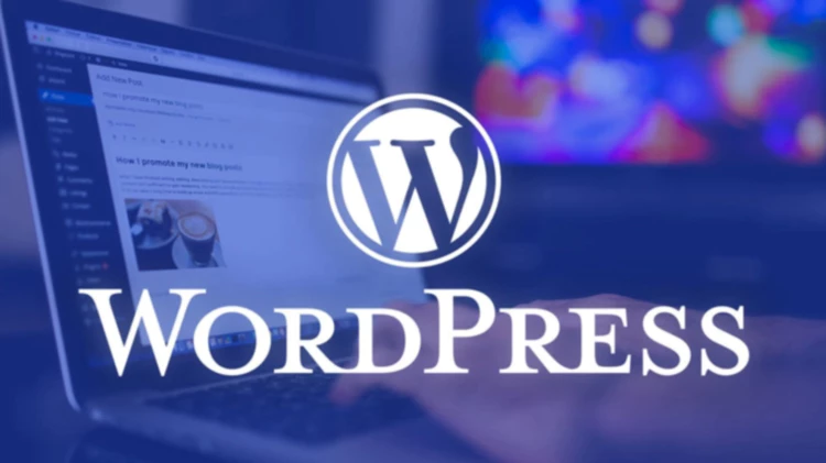 WordPress 曝新漏洞，超过200万个网站面临遭受网络攻击！