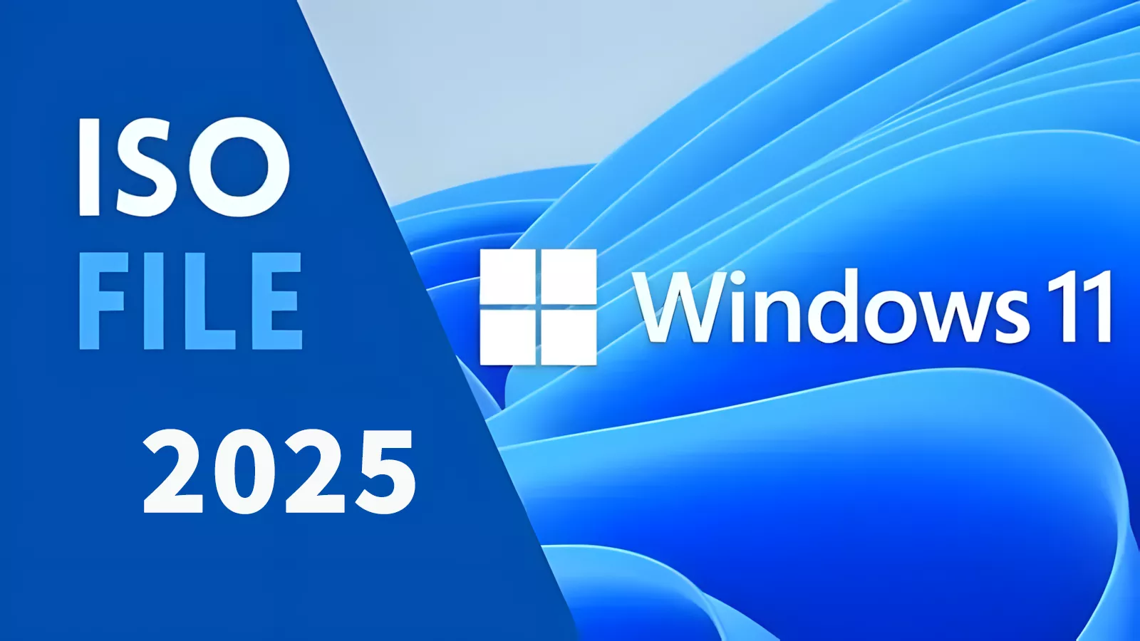 Windows 11  LTSC 2024 长期服务版官方镜像下载！选IoT 物联版 还是企业版？