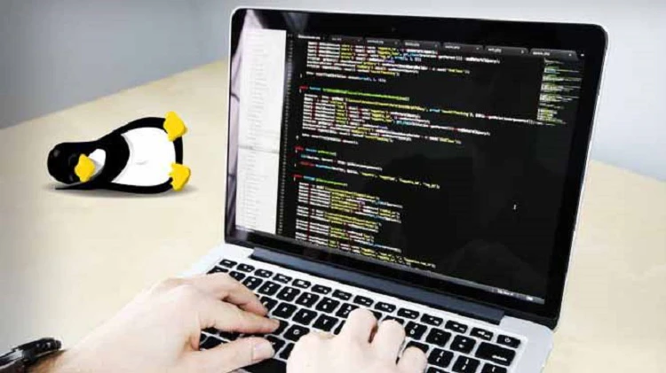 如何在 Linux 上安装和设置 Sublime Text