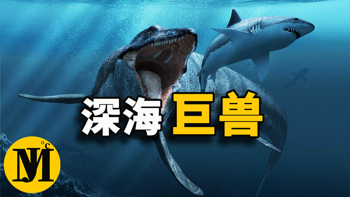 一口吞掉大白鯊的怪物，海底是否真的還存在史前巨獸 | 零度解密