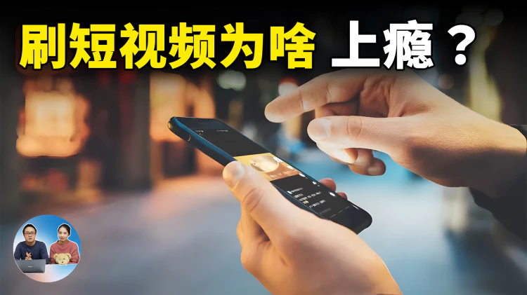 刷短视频为什么会上瘾？一直停不下来，零度亲自给你示范下.......  | 零度解说