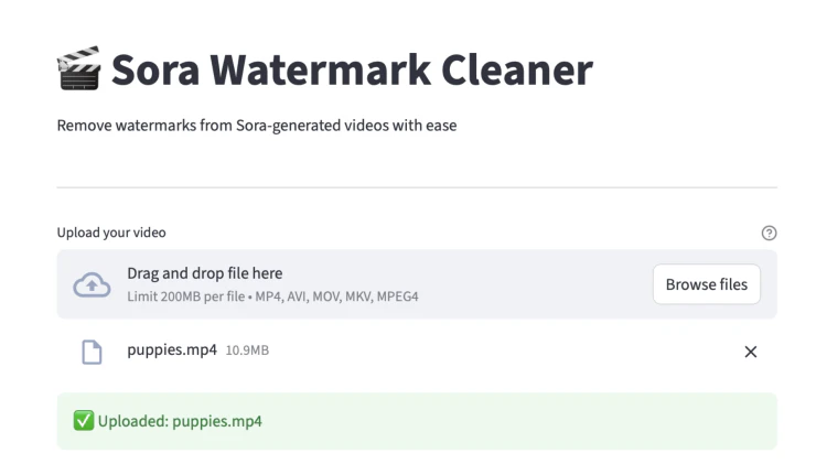 SoraWatermarkCleaner 安装教程！本地离线去Sora 2视频水印、免费开源！
